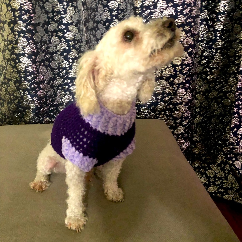 Elegant hand knitted dog sweater